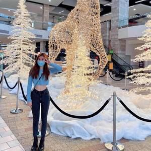 Meet your Posher, Khue